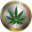 CannabisCoin